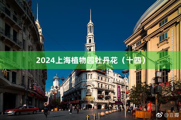 2024上海植物园牡丹花（十四）