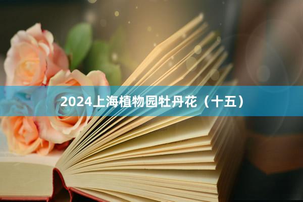 2024上海植物园牡丹花（十五）