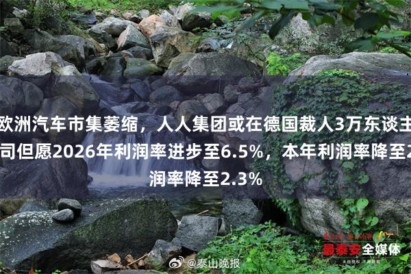 欧洲汽车市集萎缩，人人集团或在德国裁人3万东谈主！公司但愿2026年利润率进步至6.5%，本年利润率降至2.3%