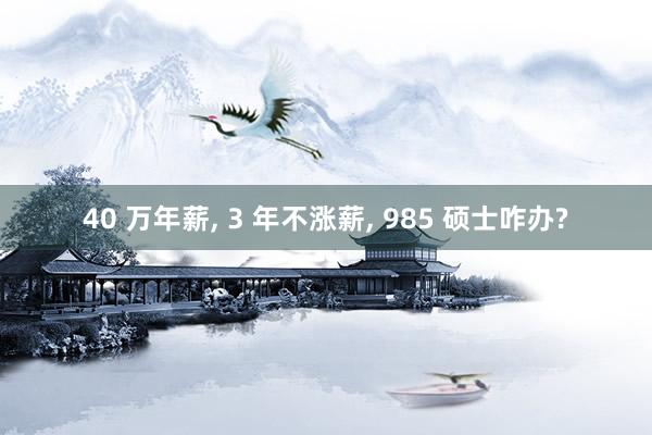 40 万年薪, 3 年不涨薪, 985 硕士咋办?