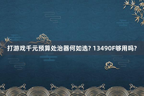 打游戏千元预算处治器何如选? 13490F够用吗?