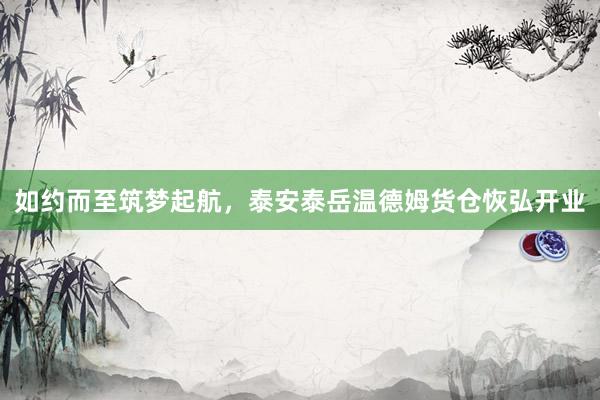 如约而至筑梦起航,泰安泰岳温德姆货仓恢弘开业