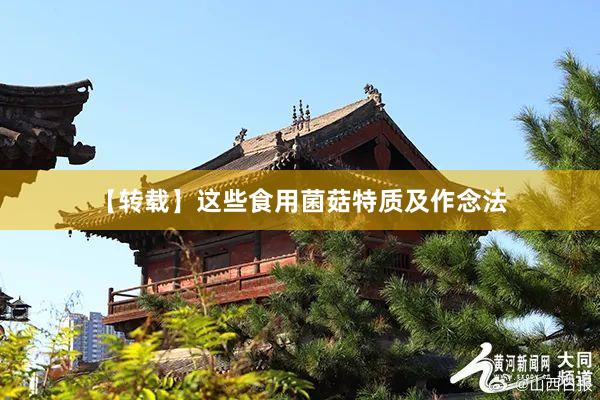 【转载】这些食用菌菇特质及作念法