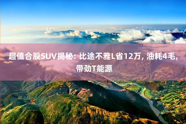 超值合股SUV揭秘: 比途不雅L省12万, 油耗4毛, 带劲T能源