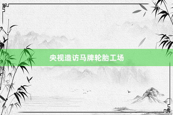 央视造访马牌轮胎工场