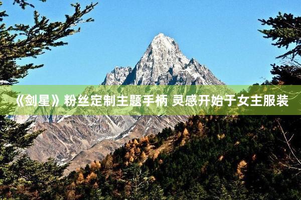 《剑星》粉丝定制主题手柄 灵感开始于女主服装