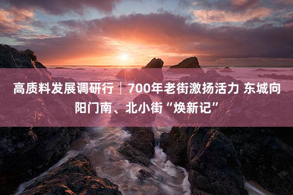 高质料发展调研行│700年老街激扬活力 东城向阳门南、北小街“焕新记”