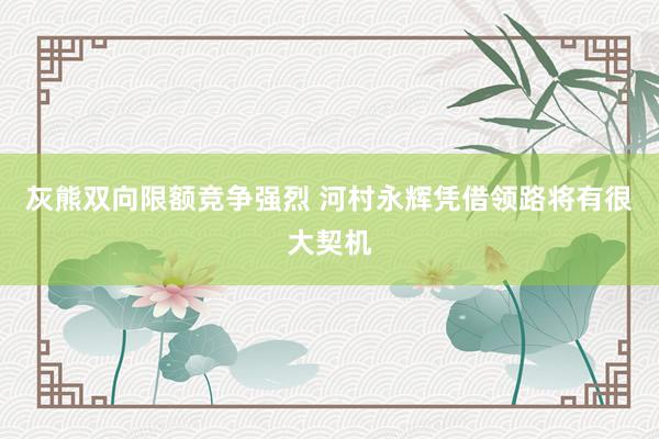 灰熊双向限额竞争强烈 河村永辉凭借领路将有很大契机