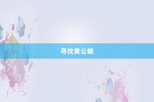 寻找黄公略