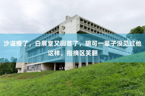 沙溢瘦了,白展堂又回首了,胡可一辈子没见过他这样,指摘区笑翻