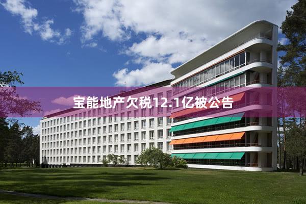 宝能地产欠税12.1亿被公告