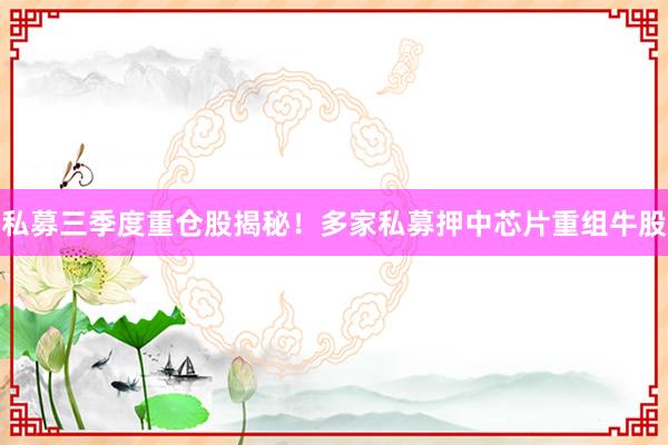 私募三季度重仓股揭秘！多家私募押中芯片重组牛股