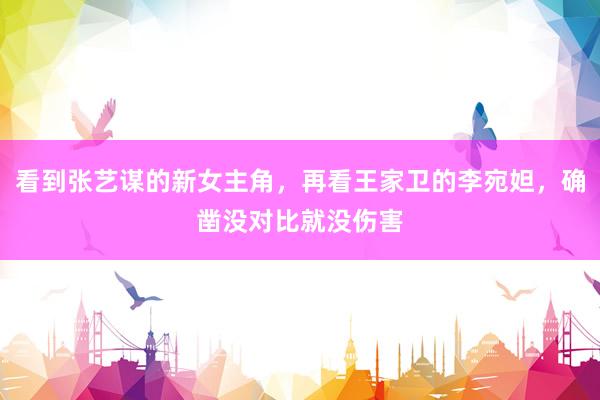 看到张艺谋的新女主角,再看王家卫的李宛妲,确凿没对比就没伤害