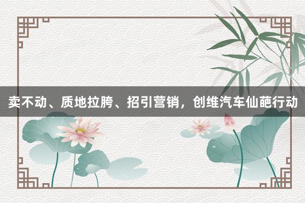 卖不动、质地拉胯、招引营销,创维汽车仙葩行动