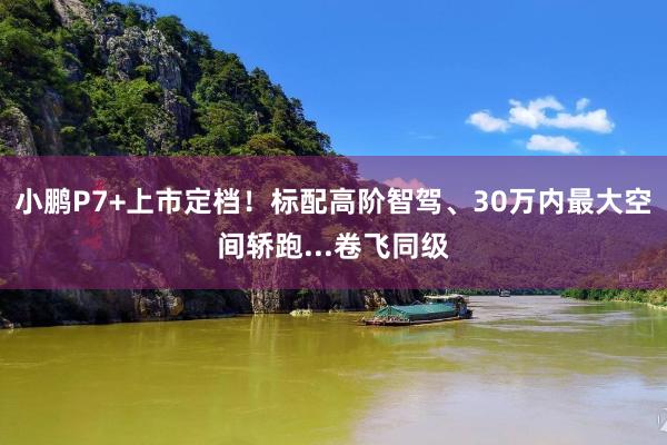 小鹏P7+上市定档!标配高阶智驾、30万内最大空间轿跑...卷飞同级