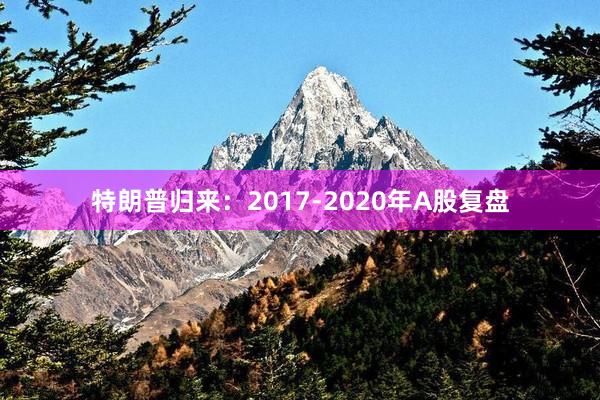 特朗普归来:2017-2020年A股复盘