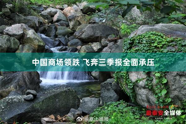 中国商场领跌 飞奔三季报全面承压