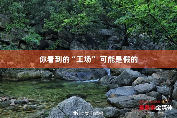 你看到的“工场” 可能是假的