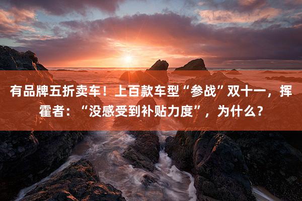 有品牌五折卖车!上百款车型“参战”双十一,挥霍者:“没感受到补贴力度”,为什么?