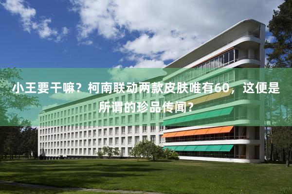 小王要干嘛?柯南联动两款皮肤唯有60,这便是所谓的珍品传闻?