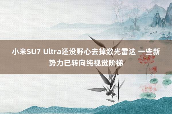 小米SU7 Ultra还没野心去掉激光雷达 一些新势力已转向纯视觉阶梯