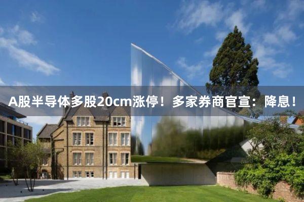 A股半导体多股20cm涨停！多家券商官宣：降息！