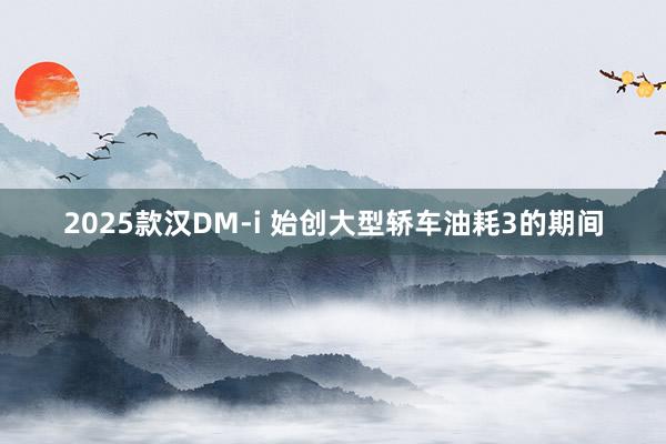 2025款汉DM-i 始创大型轿车油耗3的期间