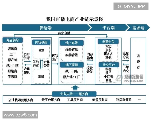 2025年体育直播行业发展趋势与观众行为变化分析报告
